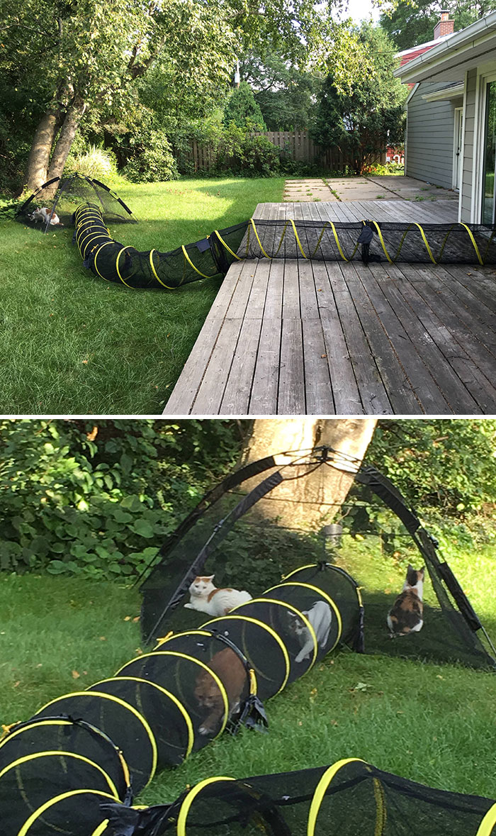 06-11-37-1624437420250654231