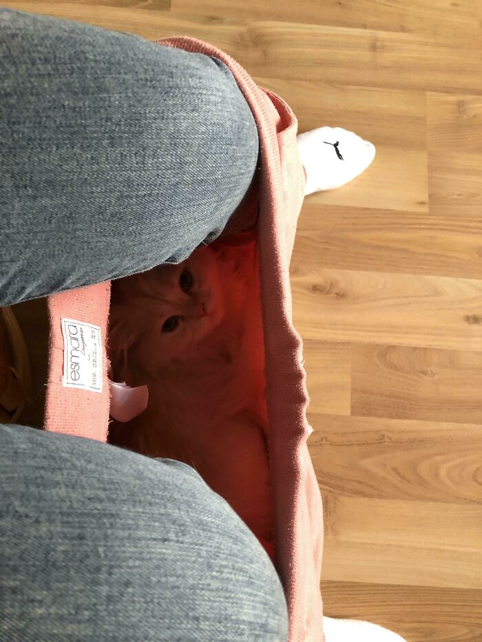 06-11-37-1624437432390441470