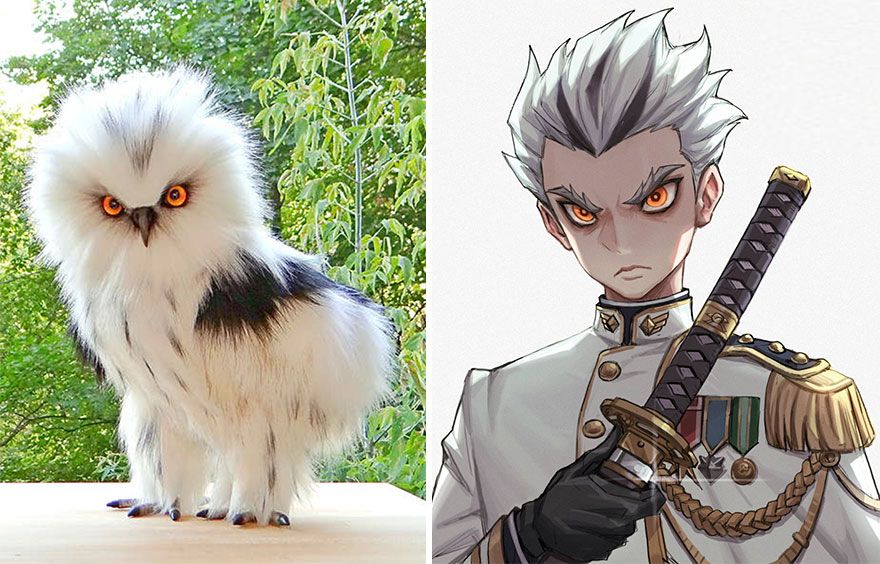 06-11-48-16226237041952740468