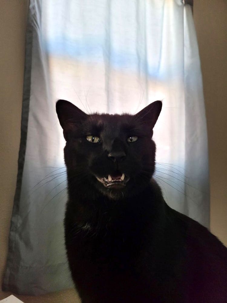 06-11-53-1623920032280947091