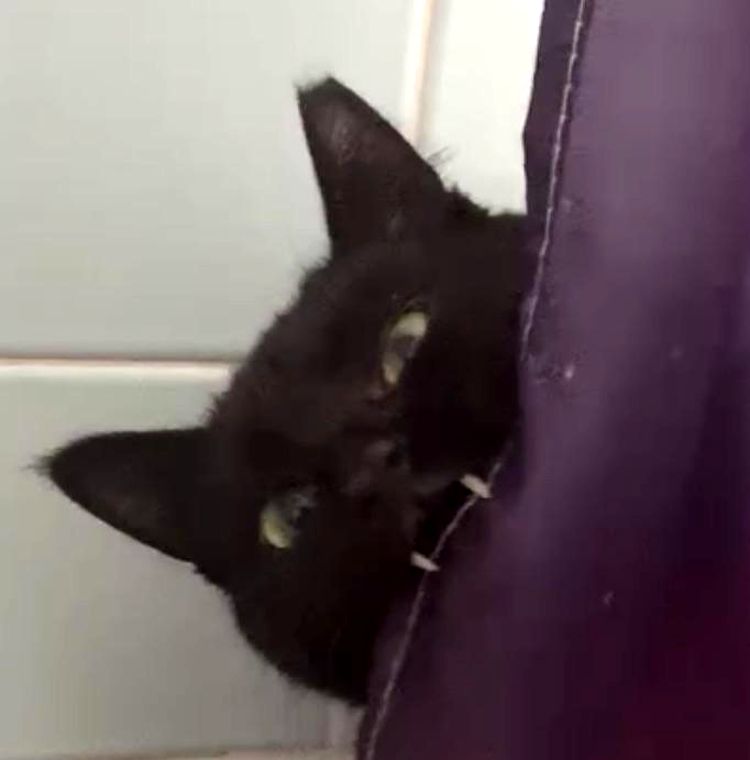 06-11-54-1623920062539002395