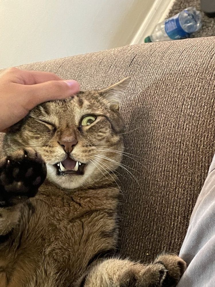 06-11-54-16239200662004269458