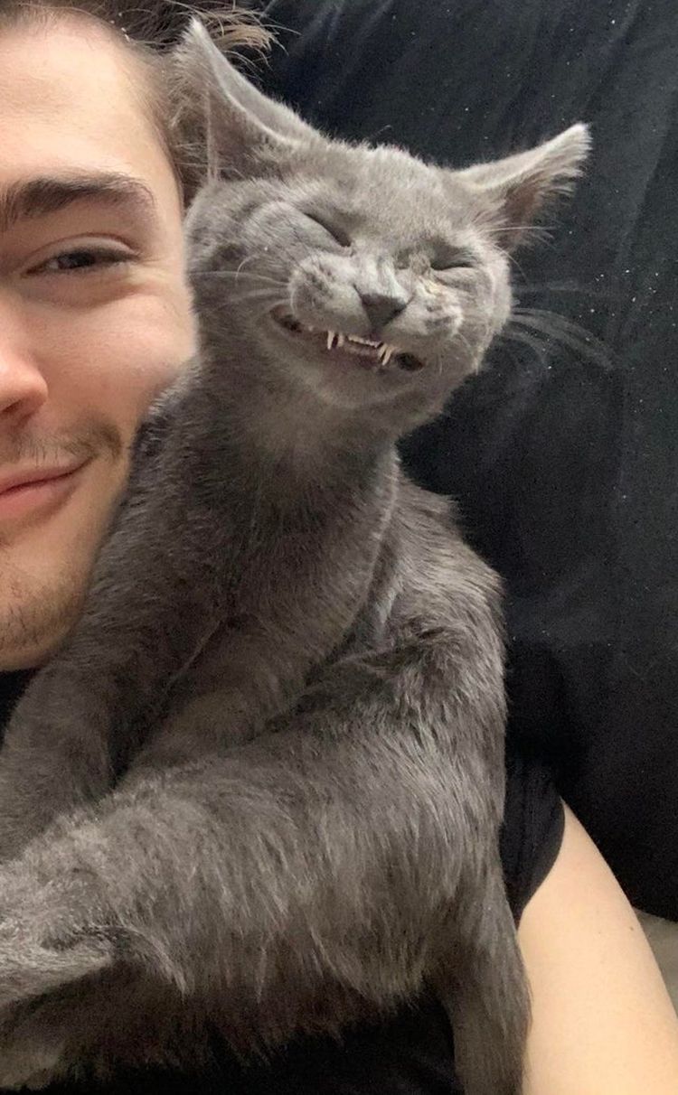 06-11-54-1623920070397880349