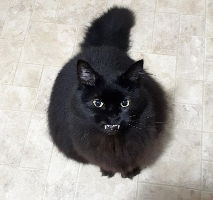 06-11-55-1623920106838954534