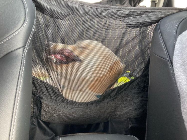 06-11-58-16240067101089053905