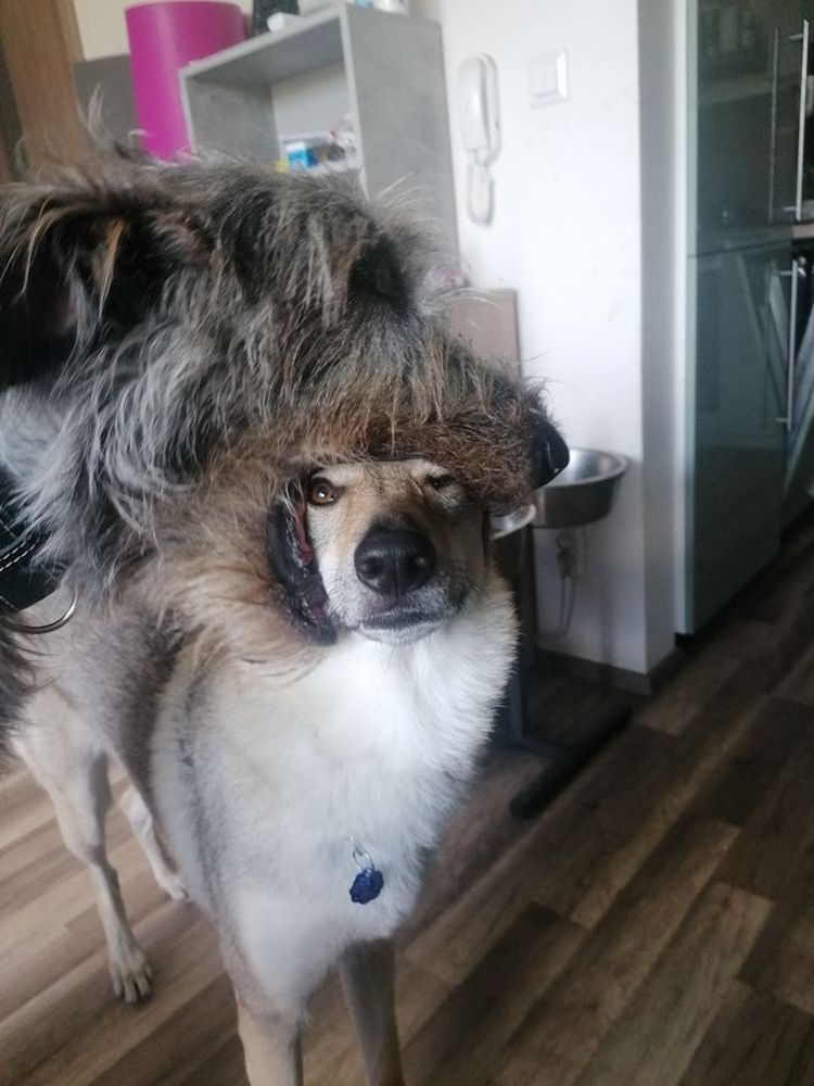 06-11-58-16240067231930220957