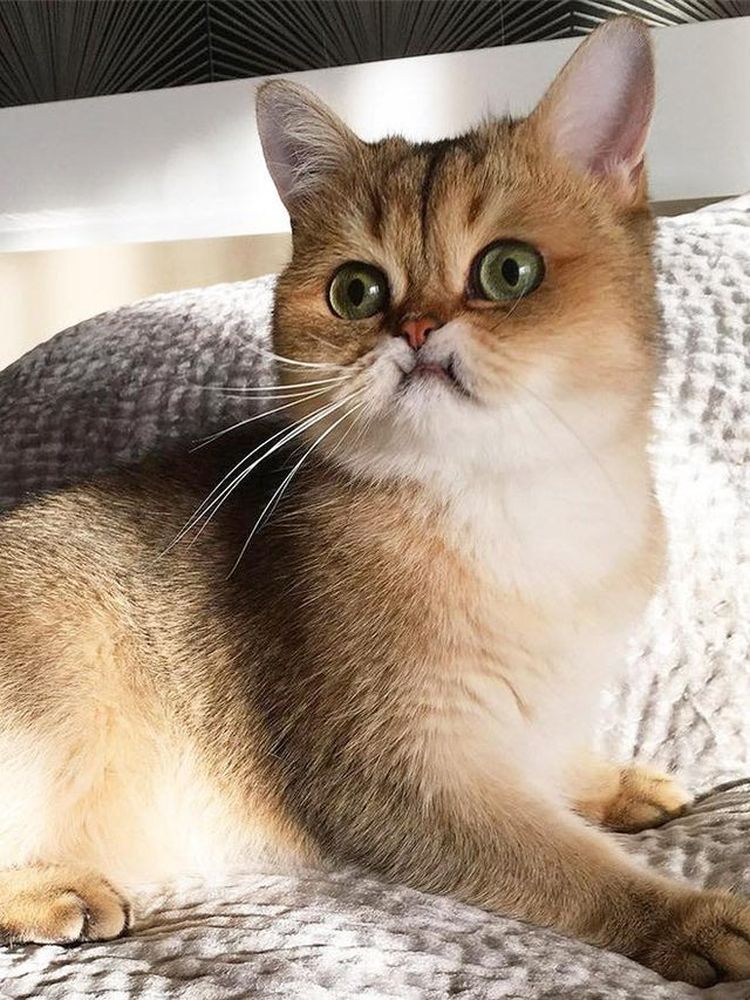 06-11-58-1624006728986902263