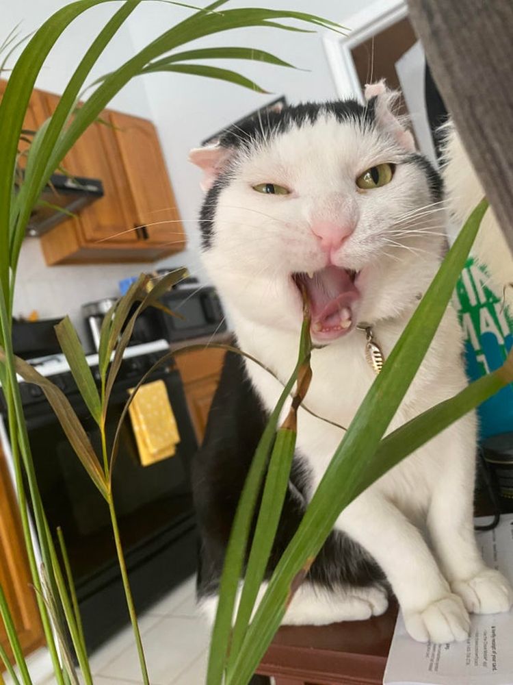 06-12-05-16240071141433247215