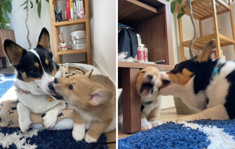 06-12-05-1624007118142348465