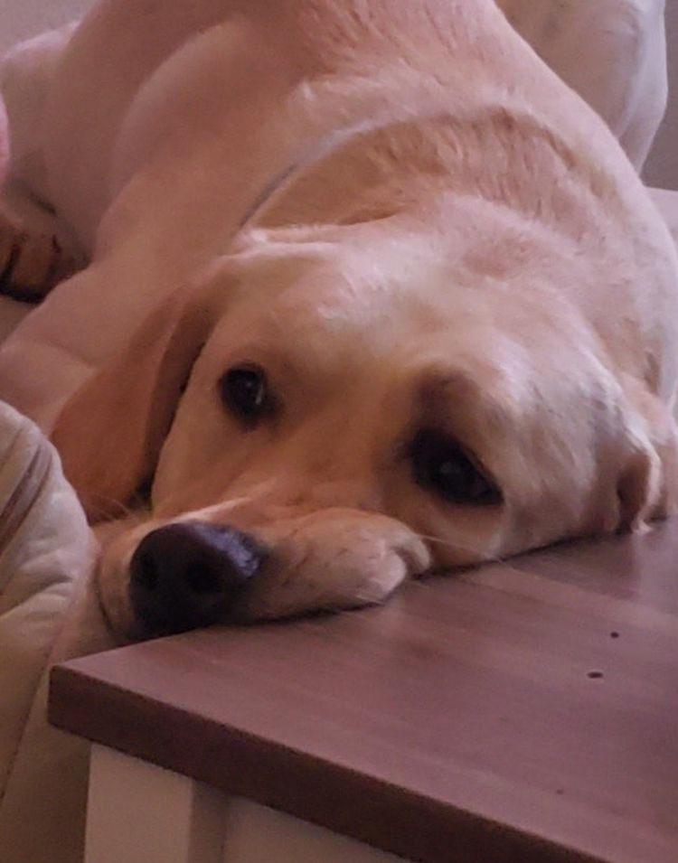 06-12-05-1624007133225293988