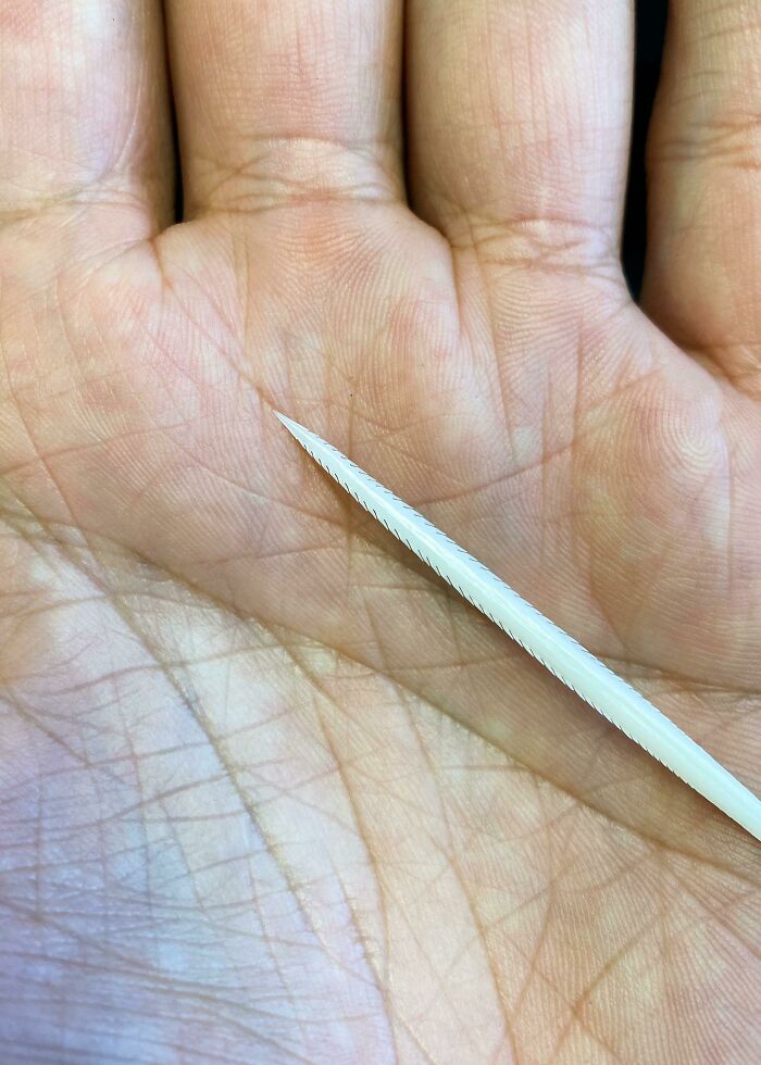 06-12-08-16243529202017024346