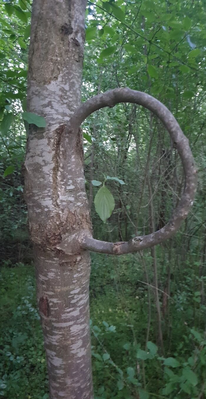 06-12-09-1624352988967797544