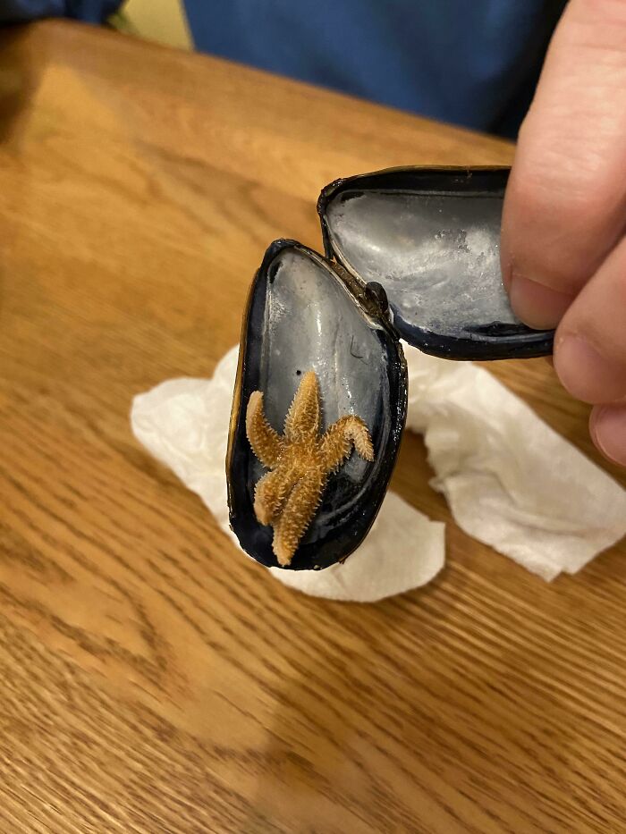 06-12-10-16243530081799765306