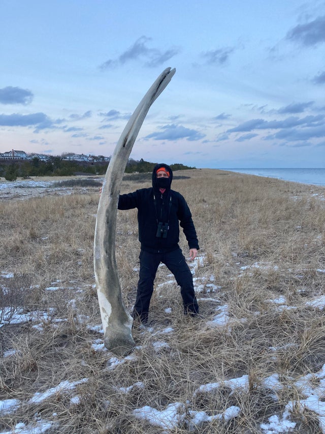 06-12-10-1624353013113033730