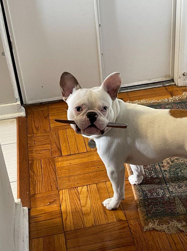 06-12-18-16238351001048176193