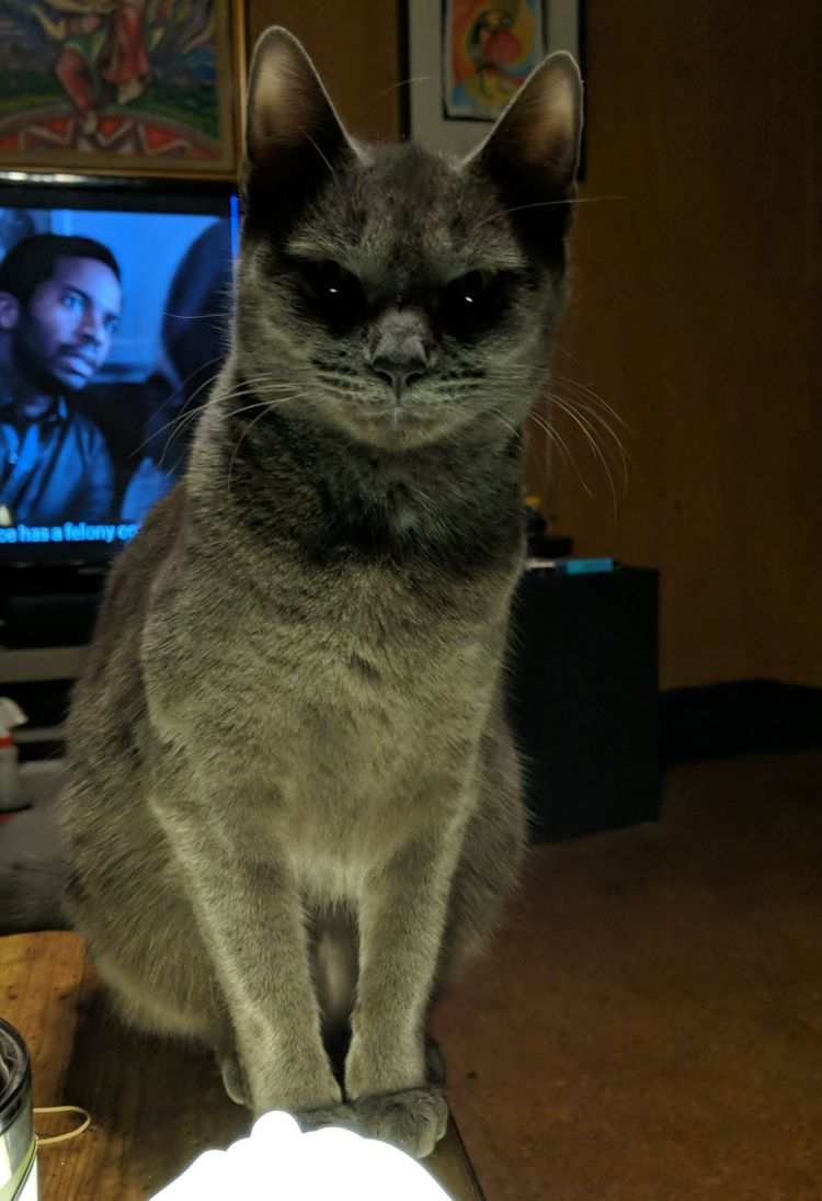 06-12-18-1623835110763694237