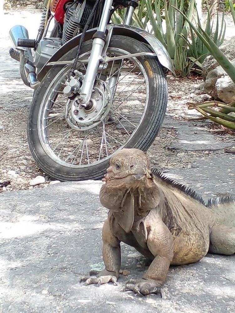 06-12-18-16238351131828611227