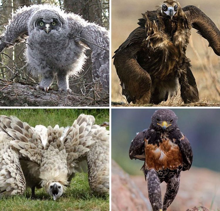 06-12-18-16238351181335022016