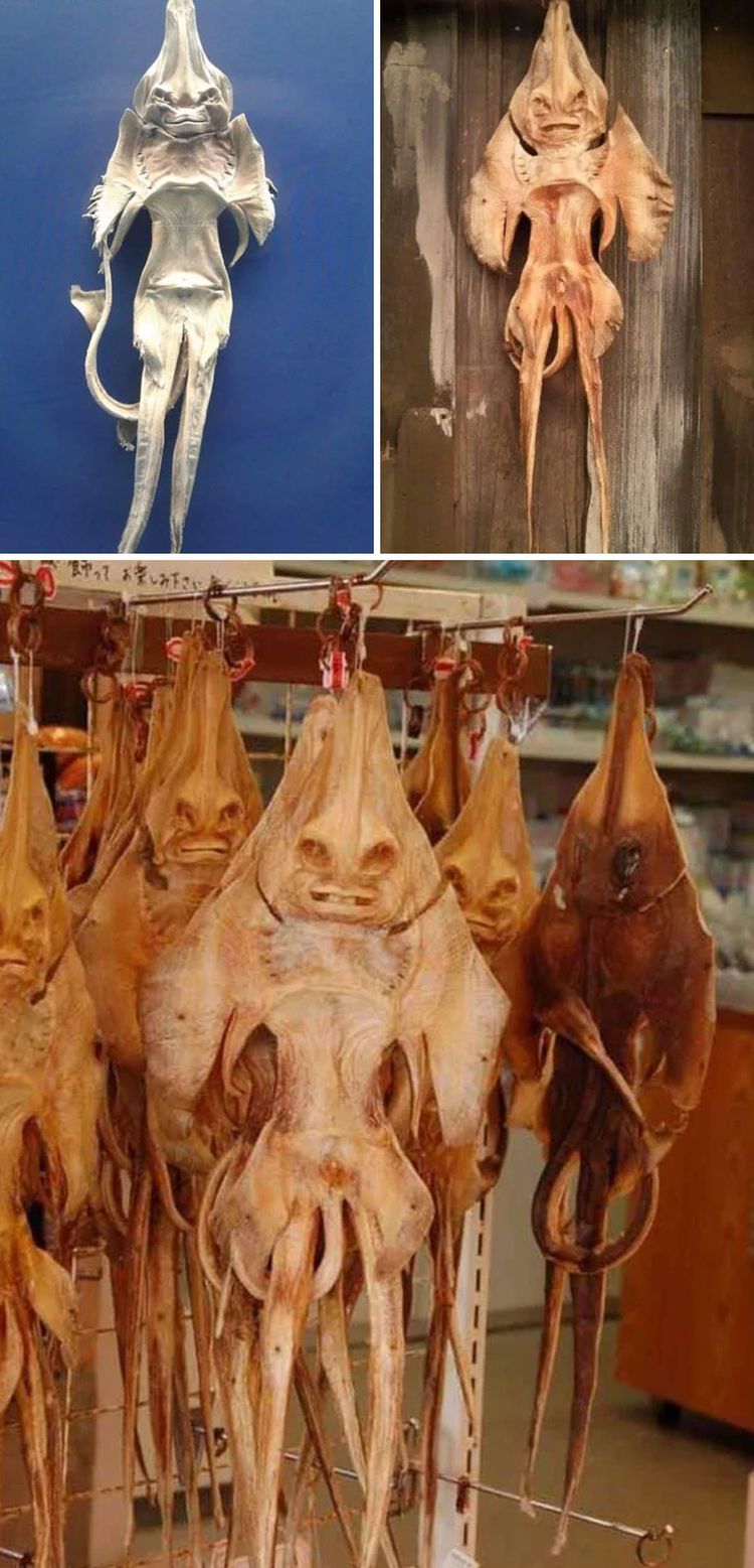 06-12-19-1623835169550202918