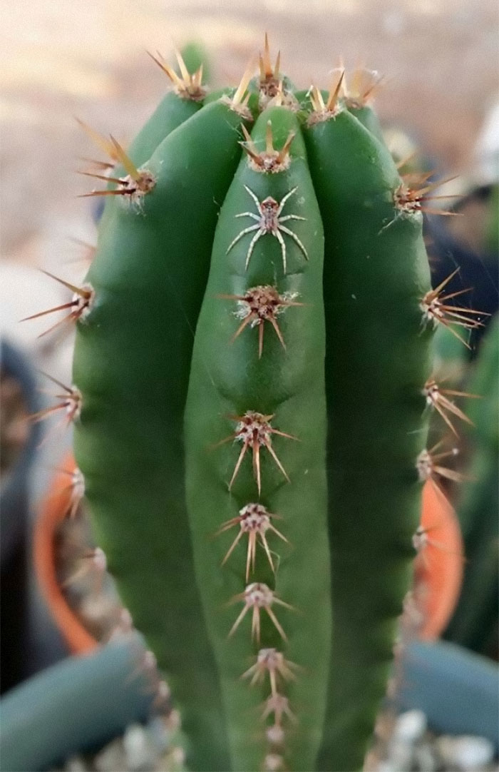 06-12-24-162461309448987669