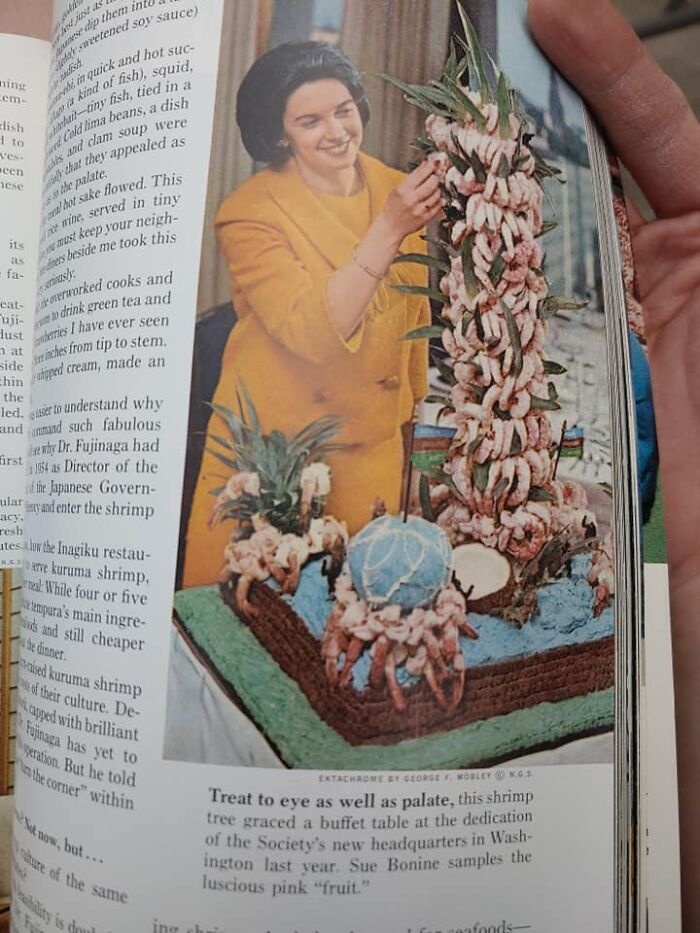 06-12-25-16230579061338792405