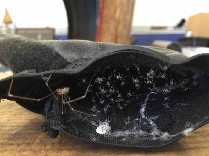 06-12-25-16246131002035462958