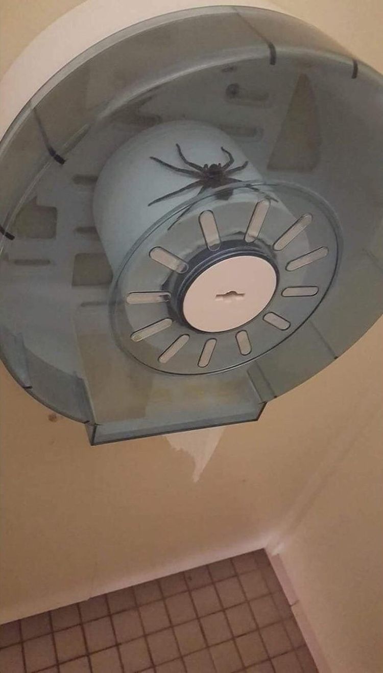 06-12-25-16246131501239516438