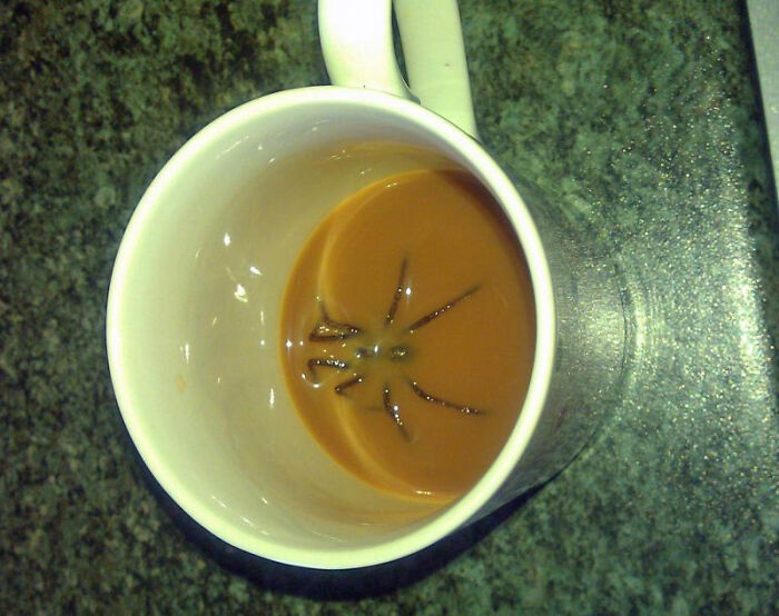 06-12-26-1624613162364626271