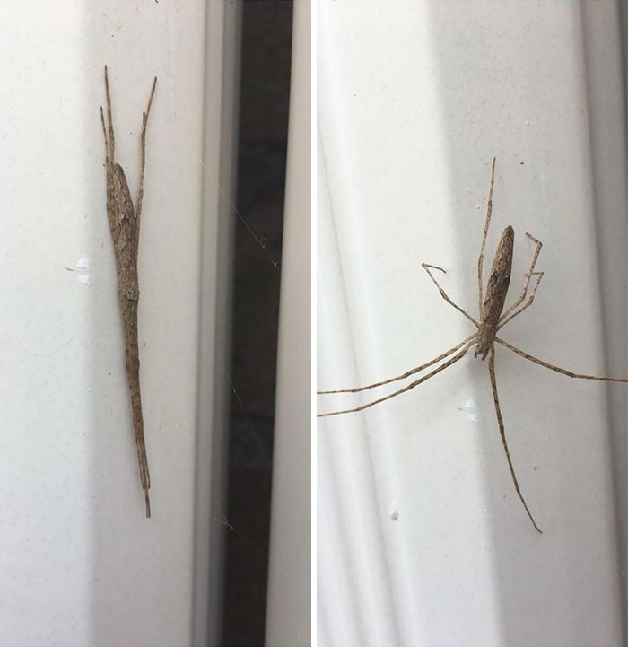 06-12-26-1624613167394992558