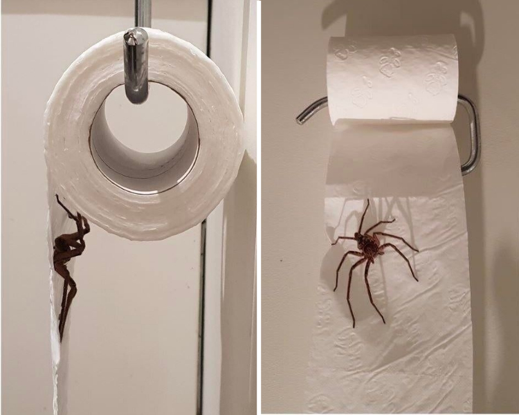 06-12-26-16246131701926429544