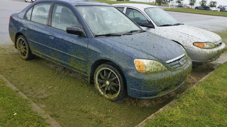 06-13-02-16244425751624665567