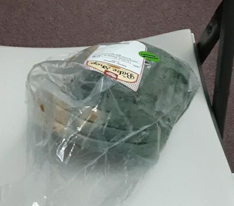 06-13-04-16244426771614886786