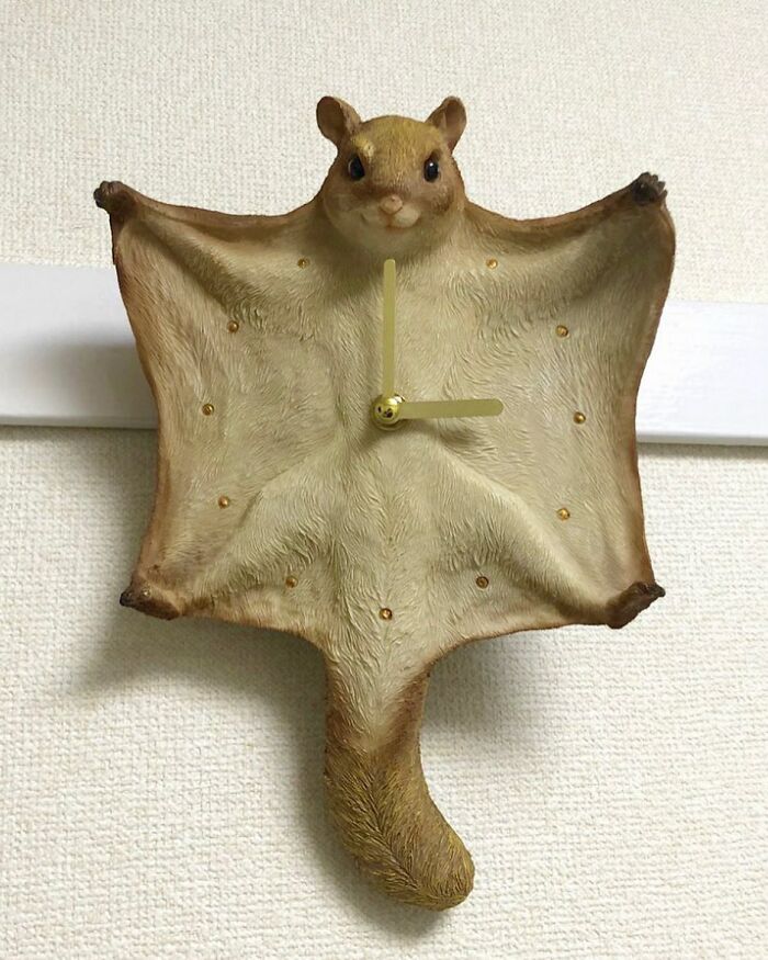 06-13-08-16249613161283060762