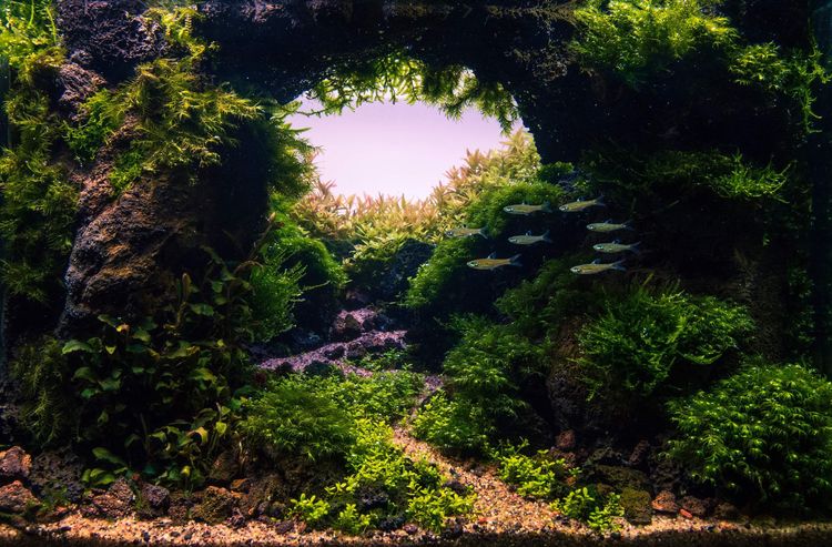 06-13-29-16246169972146742449