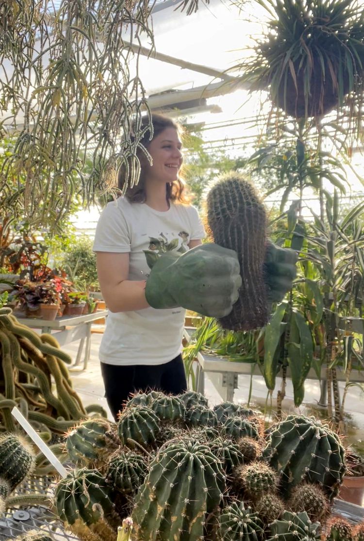 06-13-29-16246169991189070510