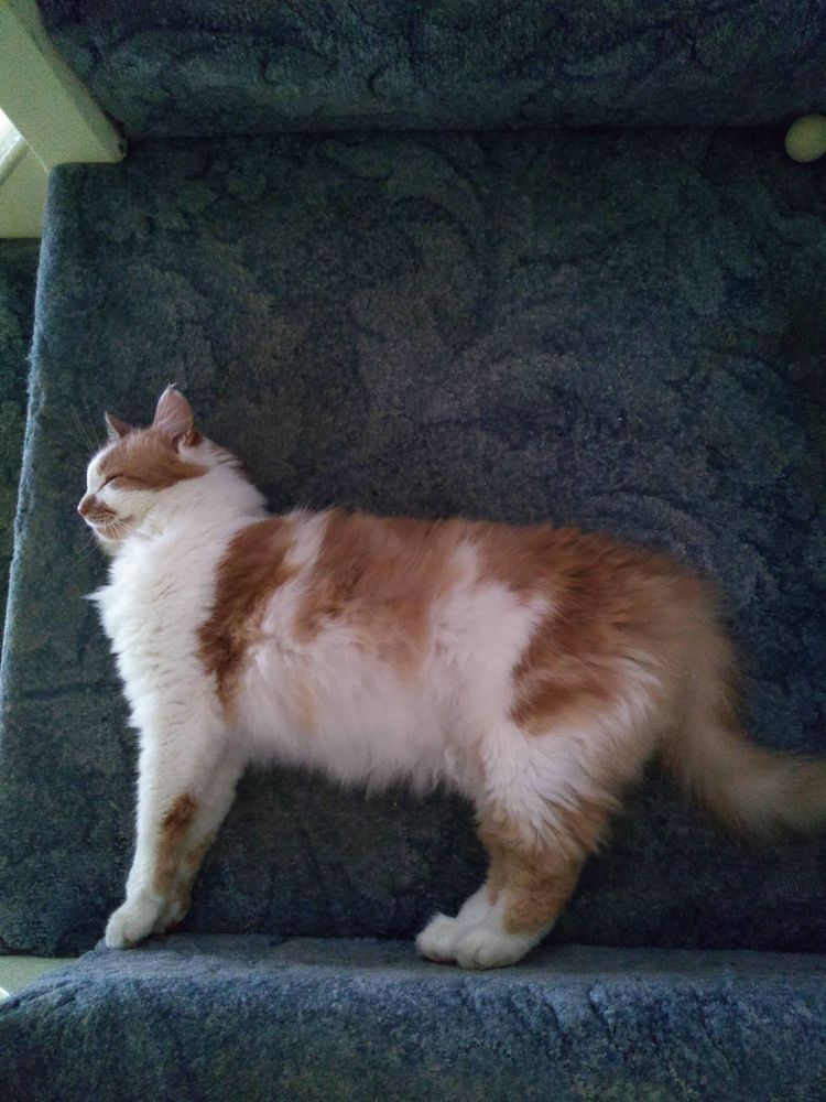 06-13-30-1624617002422633743