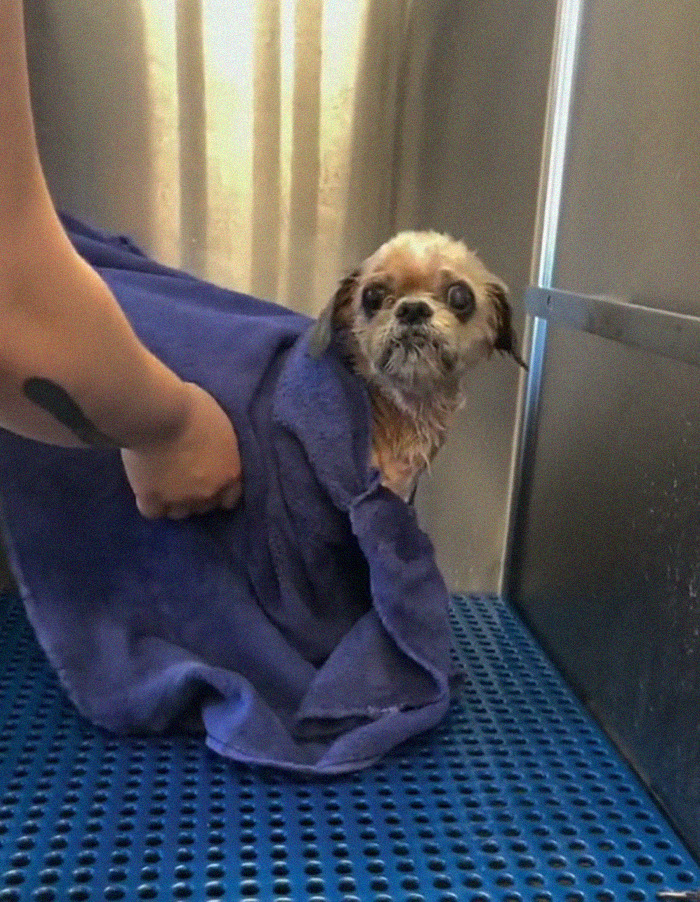 06-13-33-16242716182131899344