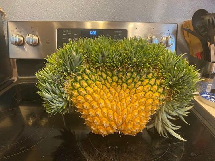 06-13-35-16226301072038242845