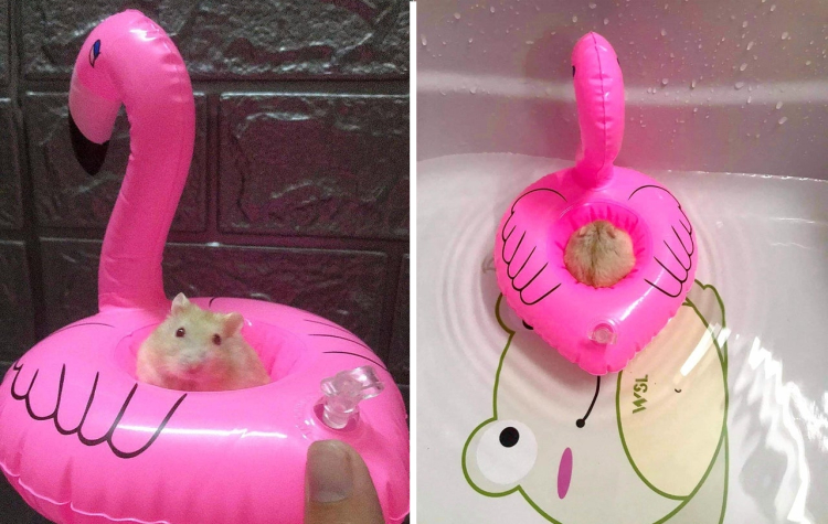 06-13-35-1624876523141165300