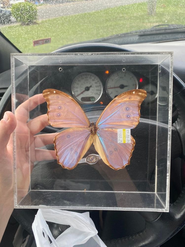 06-13-35-1624876555539262387