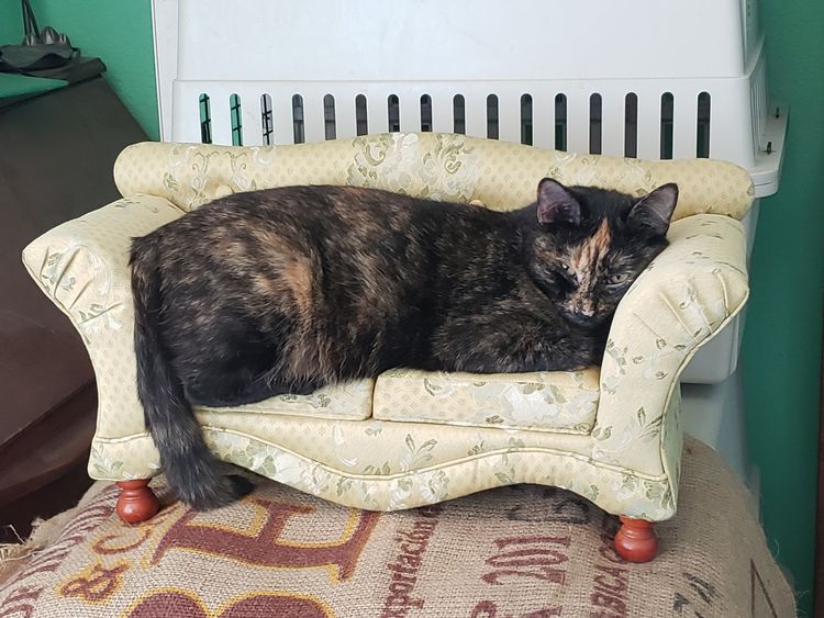 06-13-36-16248765781110060166