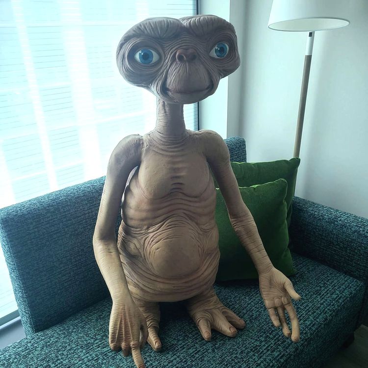 06-13-36-16248765811688301150