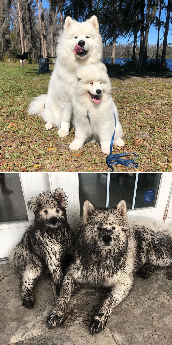 06-13-45-162332190735177916