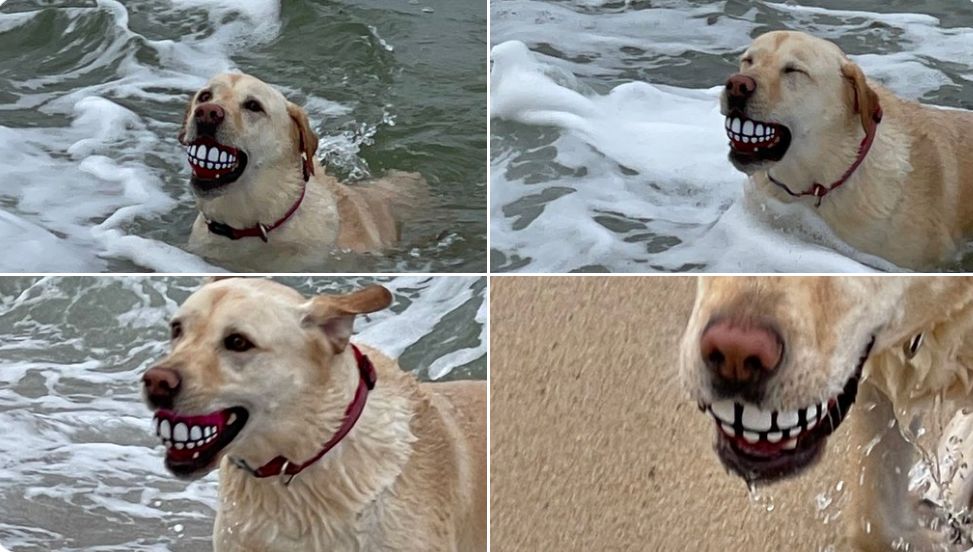 06-13-45-1623321921575301307