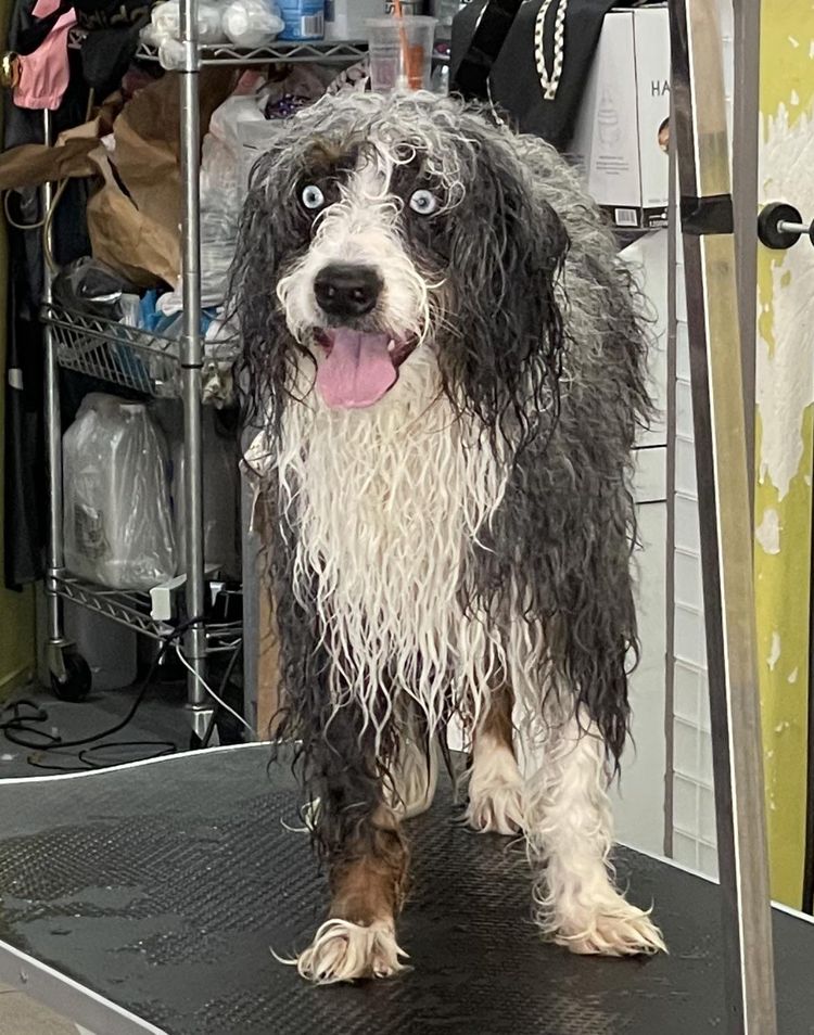 06-13-46-1624617969465687785