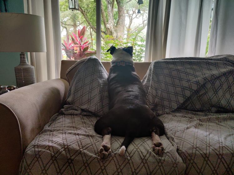 06-13-46-16246179771005742149