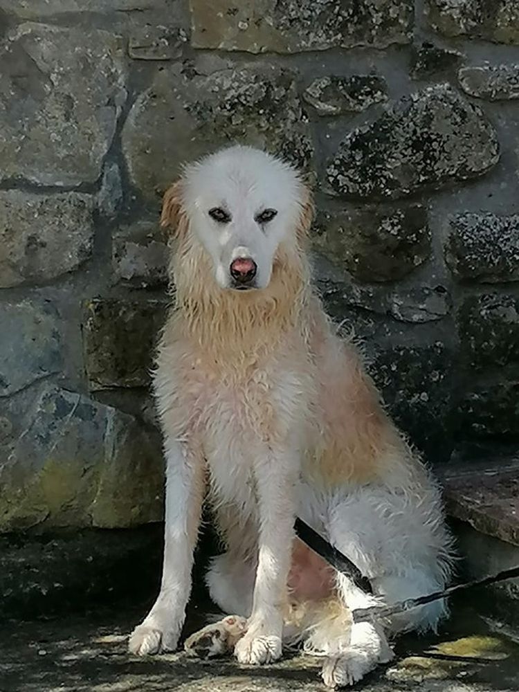 06-13-46-1624617983179288479