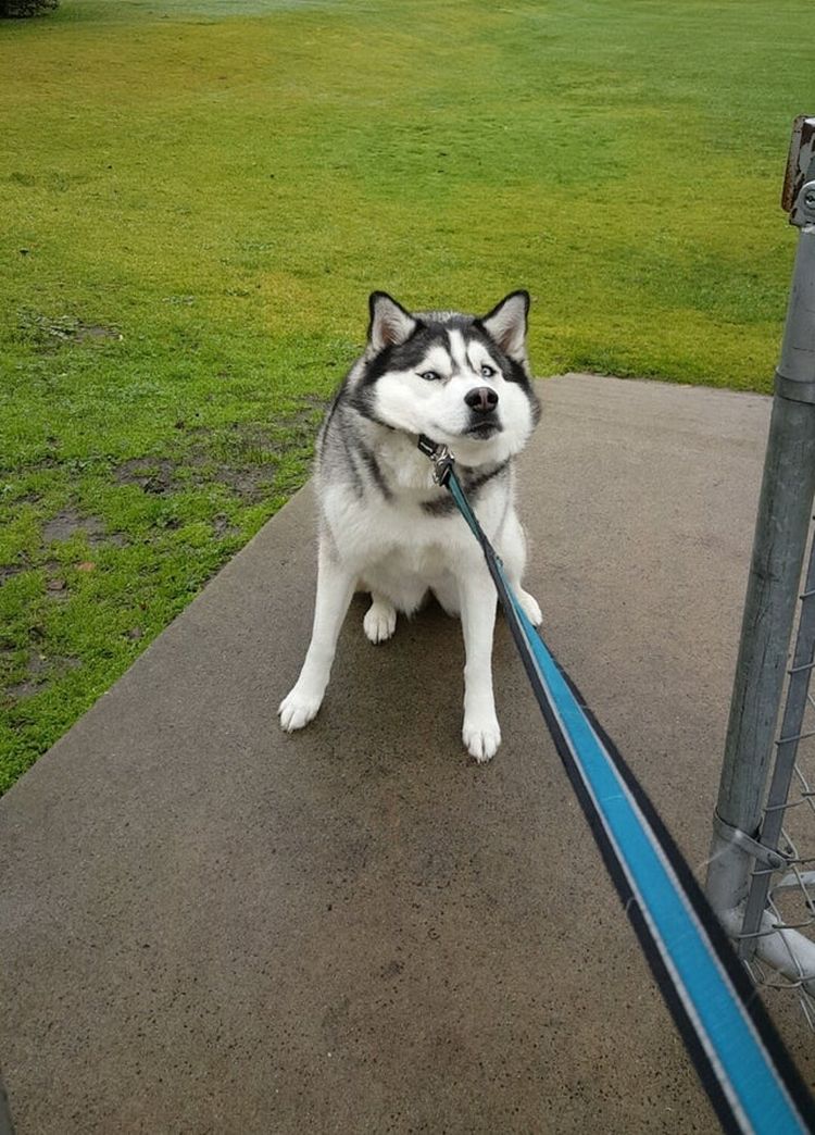 06-13-46-1624617986867317299