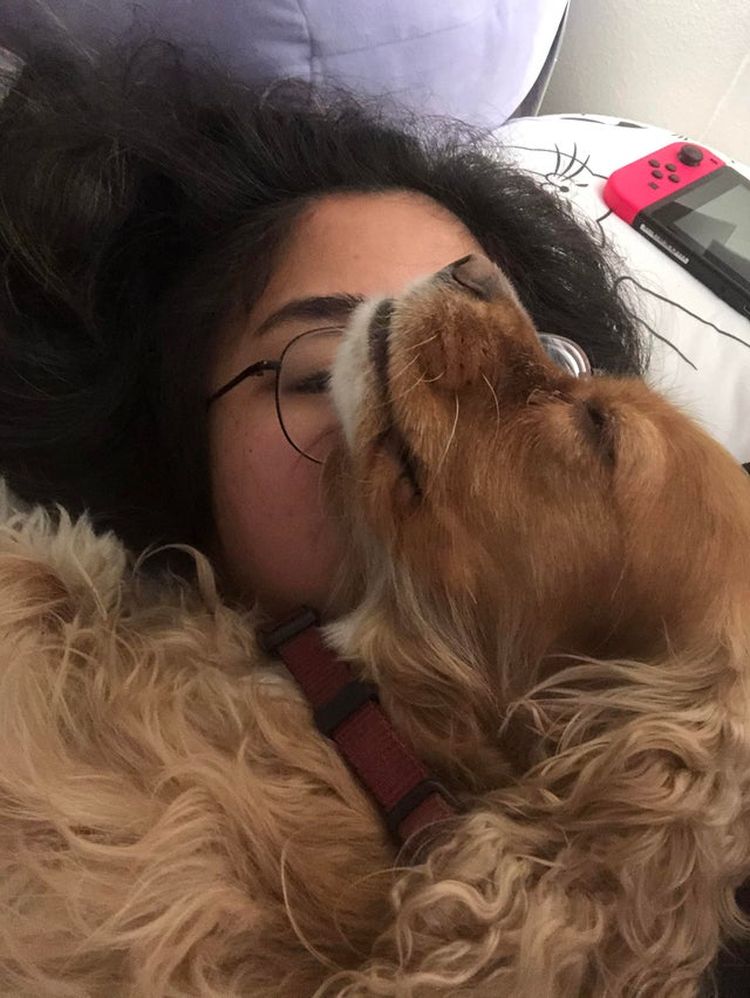 06-13-46-1624617990374505456