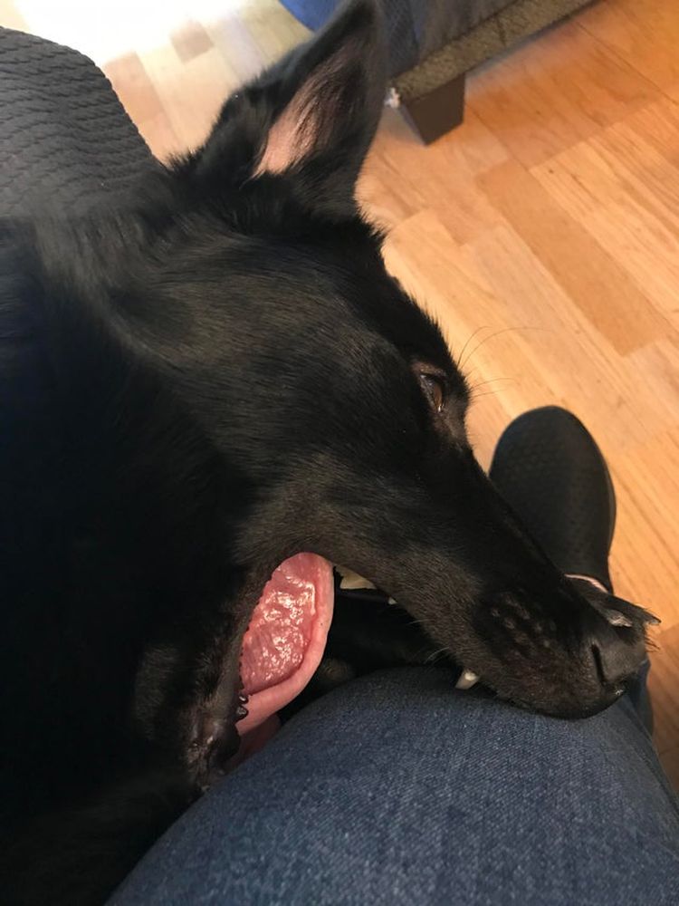 06-13-46-16246179931466314872